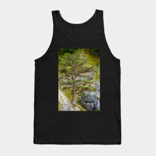 Pinus nigra on mountains peak Tank Top